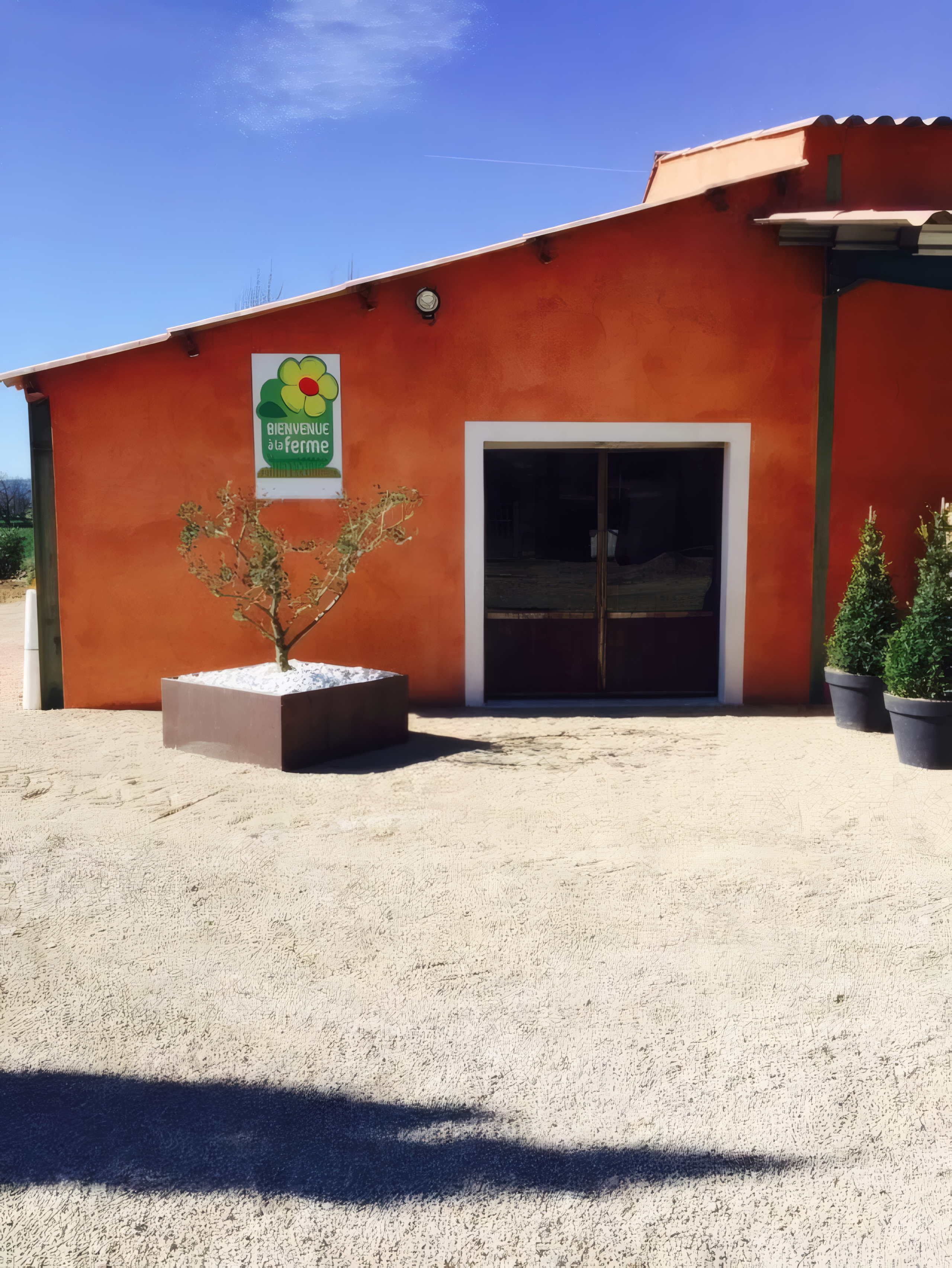 La Ferme du Vidalet à Pertuis : la boutique aux murs ocre, son olivier et sa cour, sous le ciel du Luberon